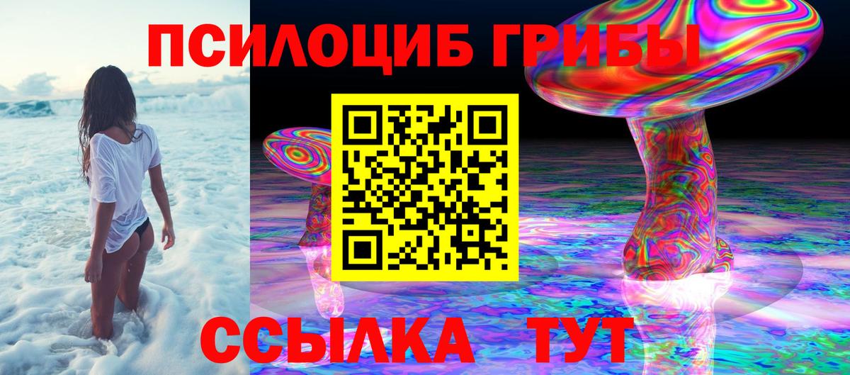 Сосновый Бор  Галлюциногенные грибы мицелий  Вход с VPN 