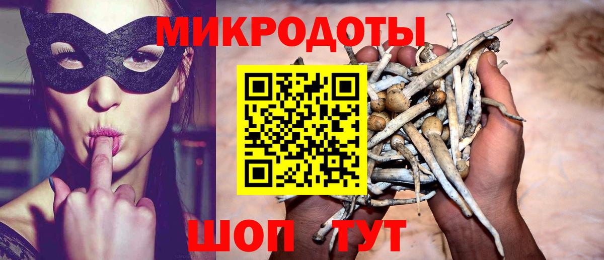 Псилоцибиновые грибы Magic Shrooms Сосновый Бор